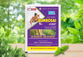 Bumrosai 650WP