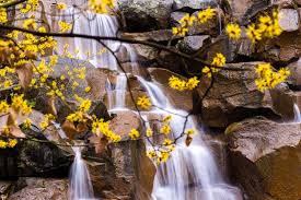 We did not find results for: Six Situations Where Tripods Are Essential For Landscape Photographers