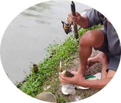 Umpan Mancing Gurame Kolam Paling Jitu Mancingikan Net 2020 Mancingikan Net 2020