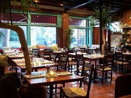 Image result for Olea