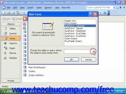 access 2003 tutorial creating autoforms microsoft training lesson 10 3