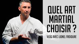 Je pratique les arts martiaux et sports de combat depuis 30 ans. Quel Art Martial Choisir Youtube