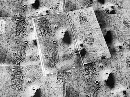 Image result for Cydonia