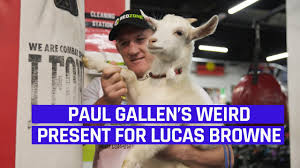 This event is not tradeable while in play. Paul Gallen S Weird Present For Lucas Browne Youtube