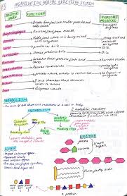 We did not find results for: Organisation And The Digestive System Gcse Biology Revision Science Revision Biology Revision