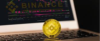 If you want to buy bitcoin or any other cryptocurrency, and do not wish to use binance, you may create an account with any exchange like bittrex that accepts pakistani clients. How To Buy Sell Binance Coin A Beginner S Guide 2021