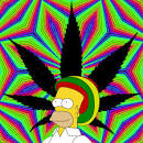 Image result for pole and dagga houses