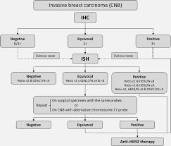 The grade describes the appearance of the cancerous the grade of a cancer depends on what the cells look like under a microscope. Biomarkers In Breast Cancer A Consensus Statement By The Spanish Society Of Medical Oncology And The Spanish Society Of Pathology Springerlink