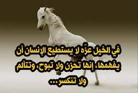 شعر عن الخيل بالفصحى