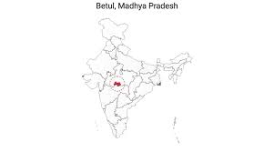 Betul Lok Sabha Election Results 2019 Live Updates Madhya Pradesh Lok Sabha Election Polls Results 2019 Winner Runner Up