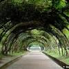 Senarai tempat pelancongan menarik di pahang, malaysia. Https Encrypted Tbn0 Gstatic Com Images Q Tbn And9gcshftbktlhvup 3ayyrdpplbvyy4gxn3ez1ttwk Csbbirzqext Usqp Cau
