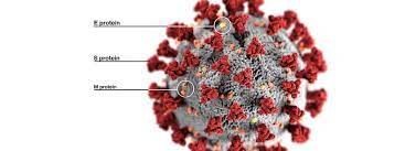 Einzigartige Stelle Auf Dem Virus Macht Sars Cov 2 So Gefahrlich Mdr De