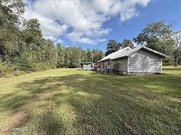 Image result for magnolia genia