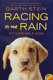 Racing in the Rain: My Life as a Dog: Stein, Garth: 8580001060941:  Amazon.com: Books