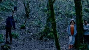 images?q=tbn:ANd9GcQAiFD37-bQOxdrYst3nTC