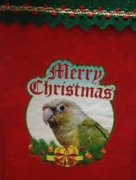 Our facility was designed to house a large separately ventilated quarantine room. 30 Parrots Ideas Card Design Water Clock Conure