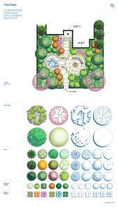 Tree Plans Architecture Design Drawing Landscape Design Drawings Landscape Architecture Drawing