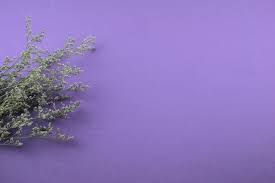 We offer an extraordinary number of hd images that will instantly freshen up your smartphone. Purple Flowers Flat Lay On Blue Purple Background 2055651 Stock Photo At Vecteezy