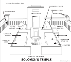 1 Chronicles In The Picture Study Bible The Book Of 1