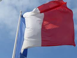 Tradução língua estrangeira interpretação da língua transcriação, idioma, diversos, inglês png. Bandeira Franca Francesa Foto Gratuita No Pixabay