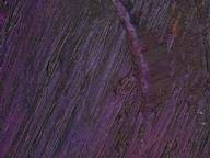 Well, you've come to the right place! Purple Mania Quiz 10 Questions