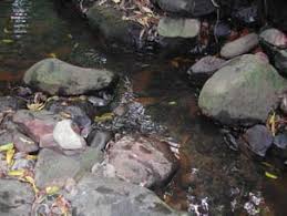 FIELD INVESTIGATION REPORT