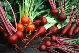 You'll learn the ideal time to plant beets for a fall harvest, the best time to plant spinach if you want to overwinter it for harvest in late march, how to maintain high soil fertility in an intensively managed garden, how day length determines planting times, and much more. 16 Vegetables You Can Plant Now For Fall Harvest Hgtv