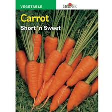 Sow the seeds at a depth of 1.5cm in rows spaced 30cm apart. Burpee Carrot Short N Sweet Seed 66654 The Home Depot