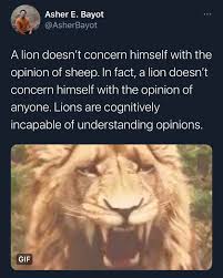 A Lion Doesn T Concern Himself With The Opinion Of Sheep R Technicallythetruth