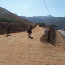 PDF) Historical Significance Assessment of Old Survey Road 97 by Stephen R.  Van Wormer and Susan D. Walter. Walter Enterprises, Chula Vista, Ca.  Submitted to Ramona Trails Association, Ramona California for a