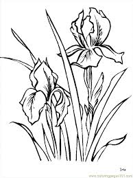 Realistic fish coloring page #1. Flower Coloring Pages Iris Coloring Page For Kids Free Flowers Printable Coloring Pages Online For Kids Coloringpages101 Com Coloring Pages For Kids
