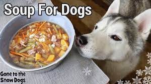 Beef Barley Soup For Dogs Diy Dog Treats 129 Homemade Soup For Dogs Youtube