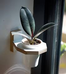 They also look lovely high up on shelves trailing down or pinned up onto a wall to give an. 27 Best Wall Hanging Planters For Indoors Outdoors 2021