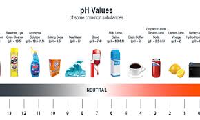 Select from premium mr clean of the highest quality. Basic Understanding Of Ph The Janitor S Closet A Cleanfreak Com Blog Post