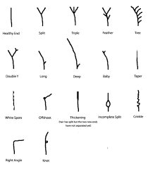 hair growth chart re 4 year hair growth chart in 2019