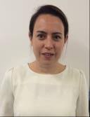 Committee Responsibilities The workshop is divided into 4 sessions (2/day):  ➢ Syn rift heatflux and subsidence (Day 1) ➢ Pos