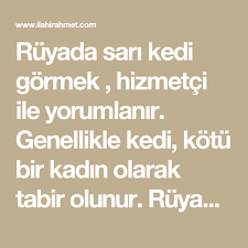 ilahirahmet hizmetci kedi islam