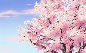 the nature of anime nature anime sky wallpapers kawaii view kurdishotaku image art طبيعة خلفيات أنمي anime cherry blossom aesthetic art nature
