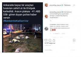 Mansur Yavas Kopek Katliamina Sessiz Kalmadi Unlu Isimlerden Mesaj Yagdi Internet Haber