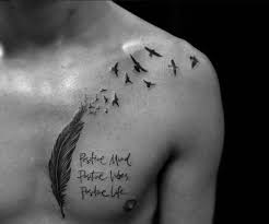 Bird Sketch Tattoo Feathers 67 Ideas Feather Tattoos Tattoos For Guys Tattoo Ideas For Guys Chest