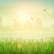 This free wallpaper gallery features bird, flower, wildlife, landscape, reptile, scenic, insect and sunset pictures. Free Vector Nature Background Of A Grassy Landscape