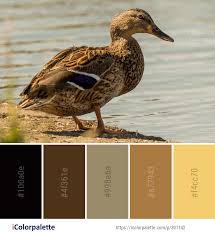 Color Palette Ideas Icolorpalette Colors Inspiration Graphics Design Inspiration Beautiful Colorpalette Palettes Id Color Palette Color Color Pallets