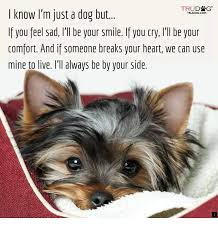 Pin On Dogs