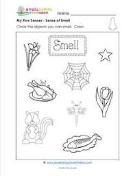 My Five Senses Circle The Objects You Can Smell Five Senses Worksheet Five Senses Preschool Senses Preschool