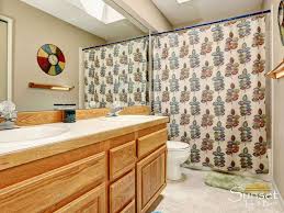 Check spelling or type a new query. Shower Curtain Vs Glass Shower Door
