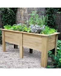 If you have ivy growing in your yard, it can be dug up in the spring or fall and transplanted into water the ivy one to two days prior to transplanting. Pots Planters Beds Mole Online
