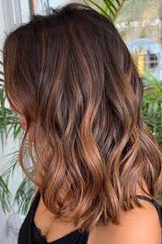 Blonde roots, a rich chestnut that frames the face, and a return to the honey blonde at the tips. 48 Trendy Brunette Hair Colors Lovehairstyles Com