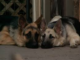 Thank you to the following artists at the noun project and their works: Home