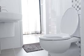 Jul 17, 2021 · make it a point to clean the drainage once a week to keep it free from such larvae and worms. Bathroom Bugs Identification Tiny Bugs Found In Bathroom
