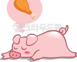 돼지 이미지